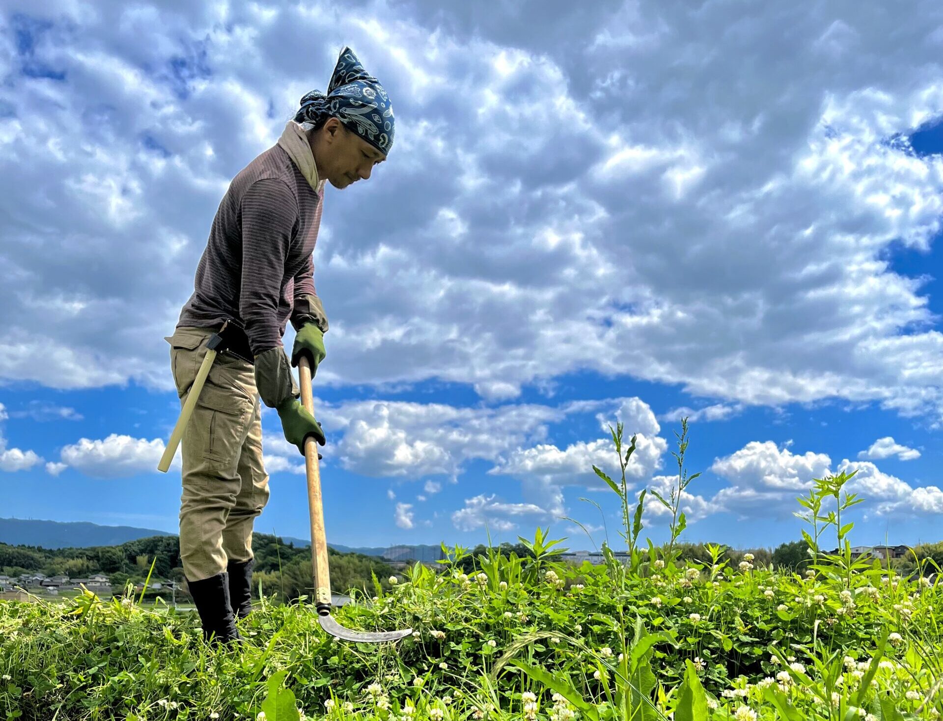 神戸・北区の自然栽培農苑で草刈り