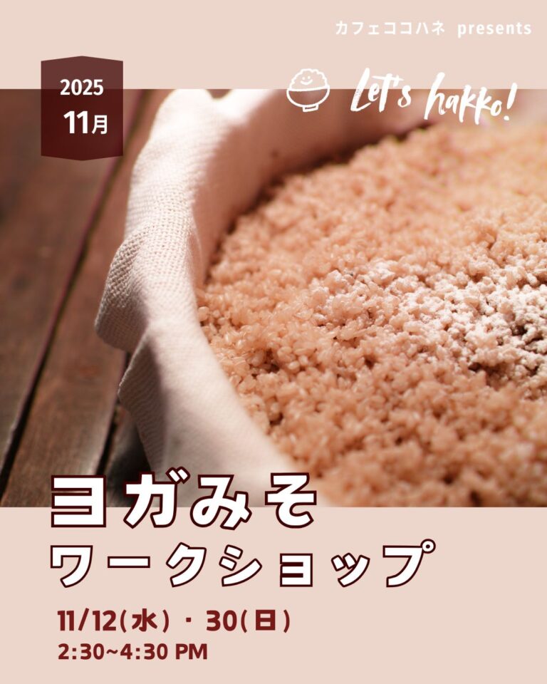 ヨガみそワークショップ